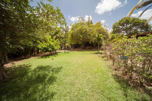 וילמסטאד Palm Trees Apartments מראה חיצוני תמונה