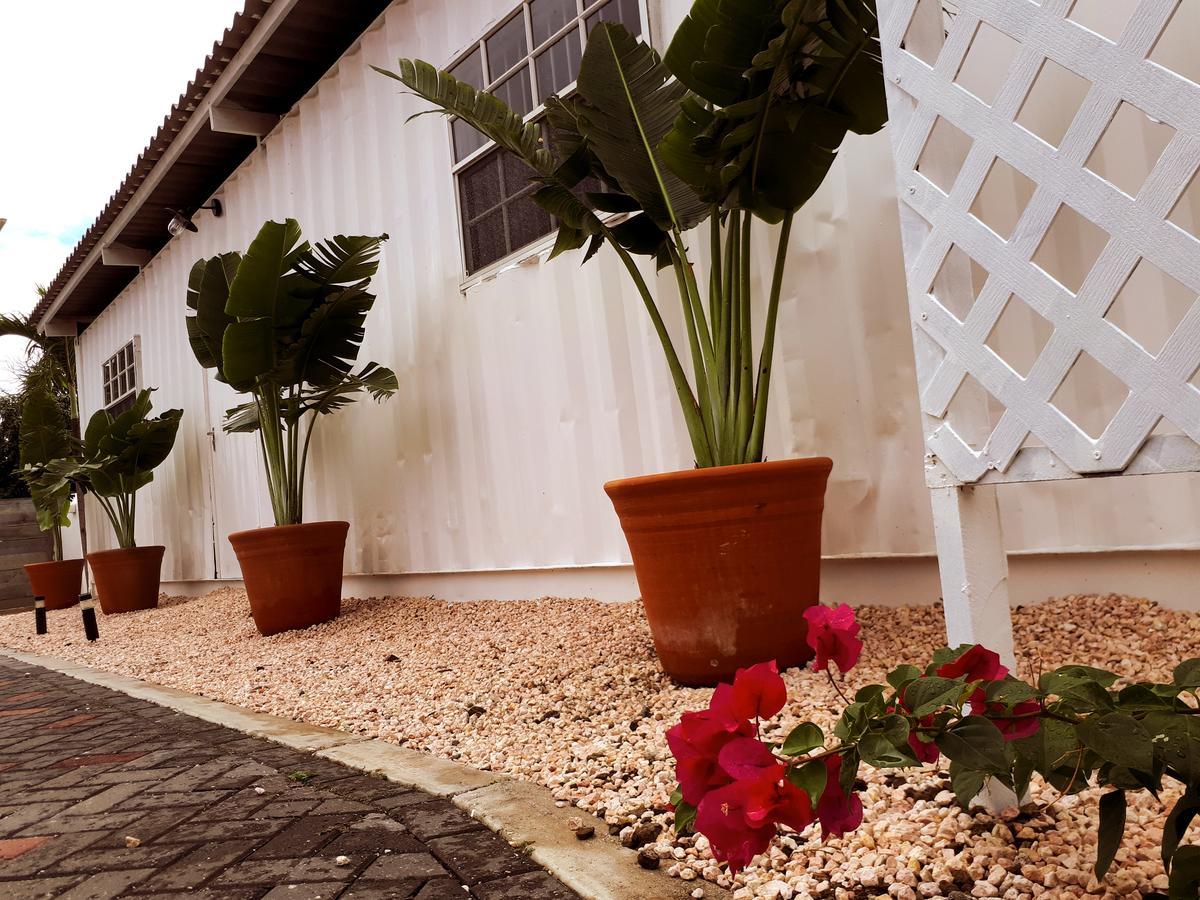 וילמסטאד Palm Trees Apartments מראה חיצוני תמונה