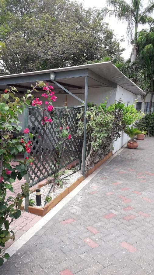 וילמסטאד Palm Trees Apartments מראה חיצוני תמונה